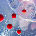 biopigmenty