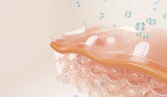 hialuronowa gąbka molekularna 3D